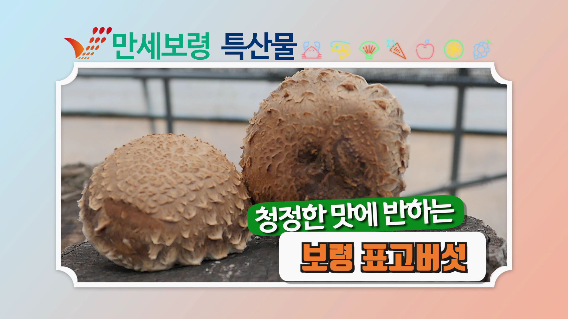 표고버섯